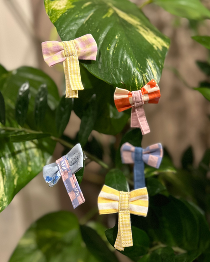 "Juste une petite barrette"
